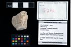 Foto (Objekt + Etikett) von Pithonoton sp.  (NHMW-GEO-2014-0194-0282)